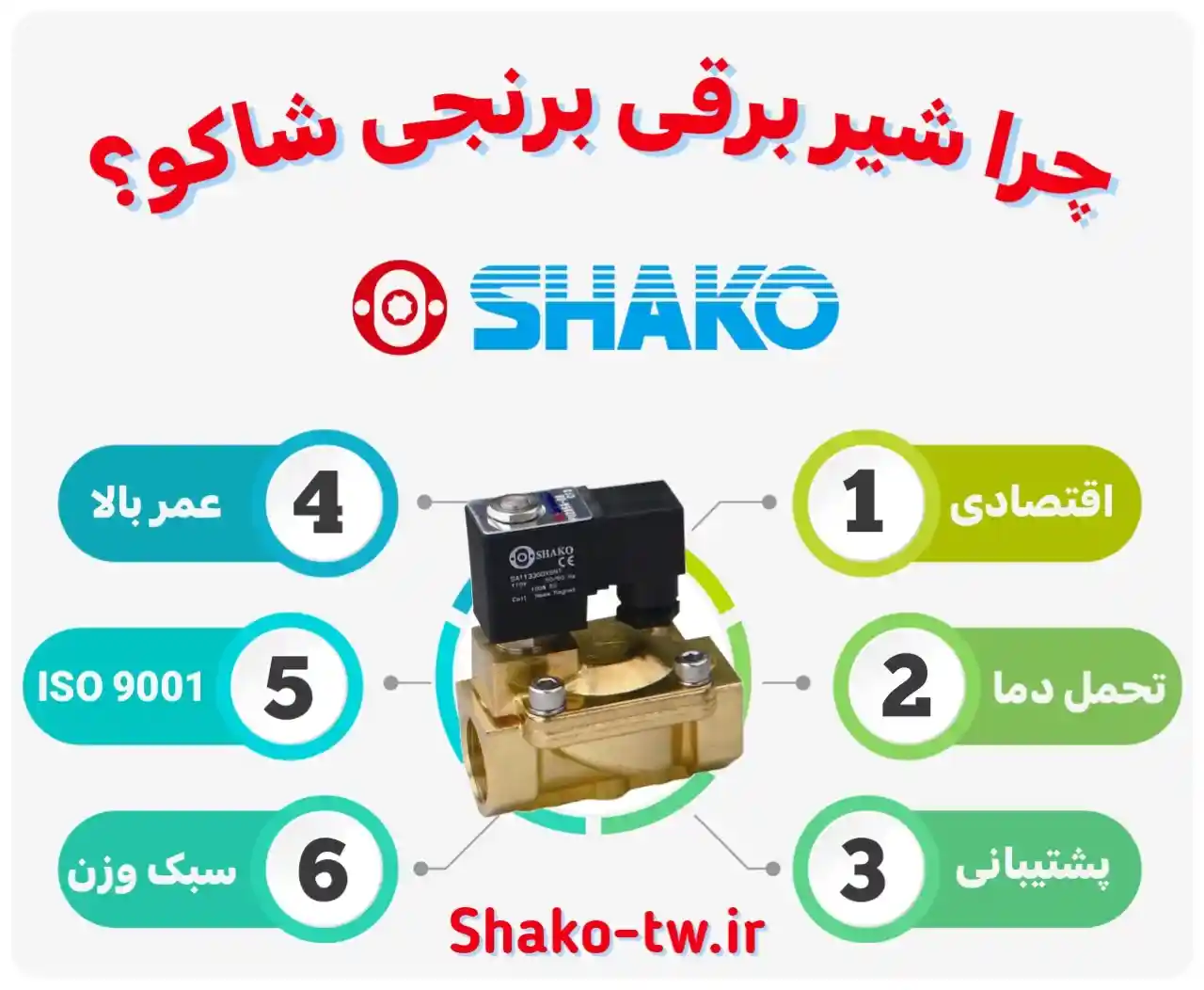 چرا شیر برقی برنجی شاکو
